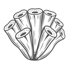 Glass Sponge: Hexactinellida Illustration modern