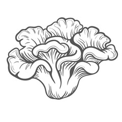 Leather Coral Line Art Illustration, Sarcophyton
