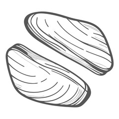 Razor Clam Illustration, Seafood Graphic Element