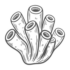 Aplysina spp. Tube Sponge Line Art Illustration
