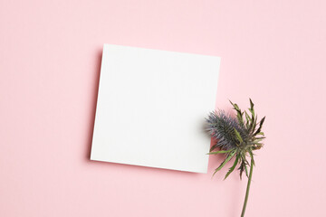 Square white card mockup with blue thistle flower placed on a soft pink surface, suitable for wedding invitation, greeting card, or branding designs