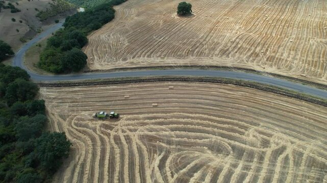 Harvest keeping view from above