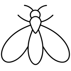 Clean Firefly Line Design