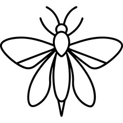 Clean Firefly Line Design