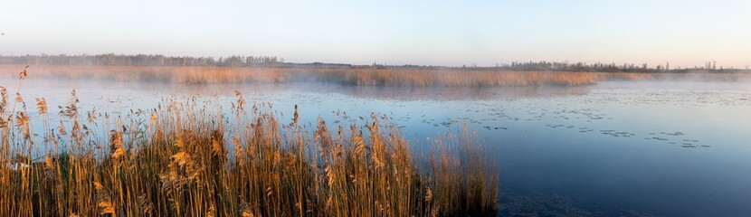 Nebelstimmung am Federsee am frühen Morgen bei Sonnenaufgang