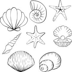 Seashells Illustration set. Vector graphic line ink icon isolated. Banner, poster, wrapping paper, sticker, print, modern textile design. Coloring Sheet for Stress Relief and Relaxation