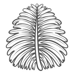 Obraz premium christmas-tree-worm--spirobranchus-giganteus----po professional beautiful creative unique