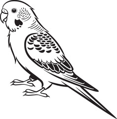 Obraz premium saint parrot bird silhouette vector illustration