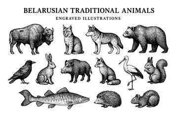 Engraved illustrations showcasing traditional animals of Belarus in a detailed artistic composition