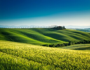 Obraz premium a lush green fields under a clear blue sky tuscany hills italy