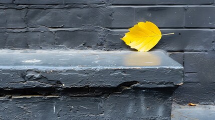 A bright yellow leaf resting on a dark, weathered brick wall step during fall