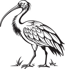 Fototapeta premium Scarlet Ibis bird silhouette vector illustration