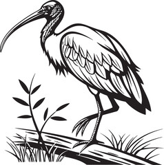 Scarlet Ibis bird silhouette vector illustration