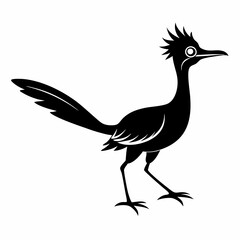 Fototapeta premium Elegant Roadrunner Silhouette Design