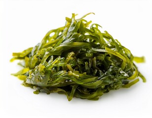 green seaweed ulva compressa