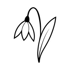Snowdrop flower silhouette vector illustration