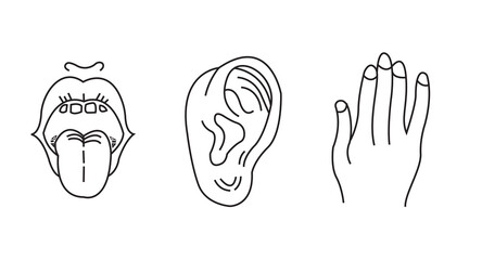 Hand drawn human sense organs vector set hand ear mouth