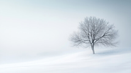 Solitary tree in a snowy landscape