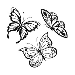Fototapeta premium Monochrome Insect butterfly black winged gorgeous insect set isolated vector illustration