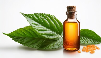 detailed illustration of bitter orange foliage organic herb closeup with aroma essence on white background
