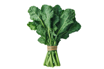 Fresh Kale Bunch Vibrant Green Leafy Vegetable Healthy Eating Minimalist Photo Studio Shot White
