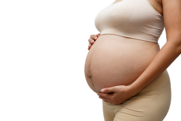 Portrait of a pregnant woman touching her big belly close up, mother, pregnancy, people and expectation. Woman holding big pregnant stomach