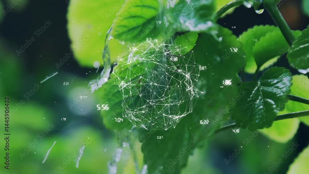 Poster green serrated leaves getting overlaid with floating wireframe mesh and numeric data in macro shot