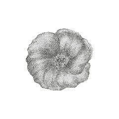 Grunge vintage flowers in halftones. Aesthetic graphic tattoo. Gothic punk poster.