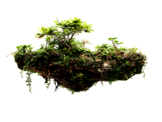 Floating island of lush greenery. Plants and foliage on a suspended earth block, isolated on a transparent background