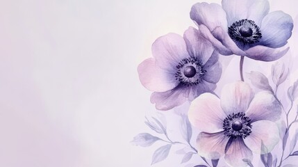 watercolor drawing of anemone on light backdrop. painting flowers background. illustration floral nature.  flower wallpaper for greeting cards, weddings or birthdays. Copy space. space for text