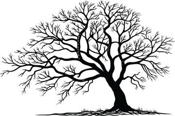 Obraz premium Bare Tree Silhouette Vector – Minimalist Leafless Branch Illustration