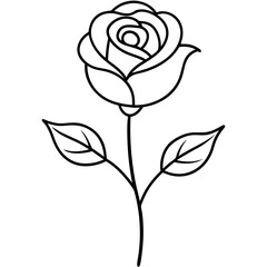 Simple Line Art of Full Rose Plant &ndash; Minimal Botanical Design