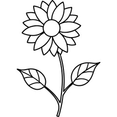 Botanical Line Drawing of Sunflower Plant – Simple Vector Style