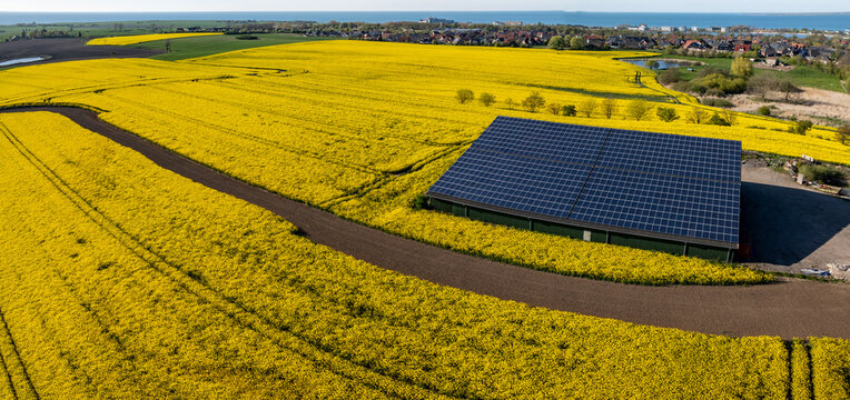 Fototapeta Aerial view of large solar panel system on the roof of a modern agricultural barn, surrounded by yellow rapeseed fields in spring. Farm equipment storage with large solar photovoltaic array. 