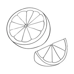 Outline drawing of orange fruit with slice, minimalistic citrus illustration for coloring books, packaging, and healthy food design