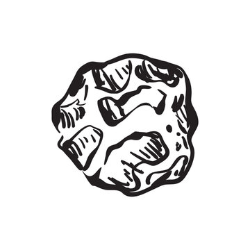 Hand-drawn black peppercorn in vintage engraving style, suitable for spice packaging, botanical projects, and culinary design