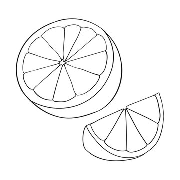 Outline drawing of orange fruit with slice, minimalistic citrus illustration for coloring books, packaging, and healthy food design
