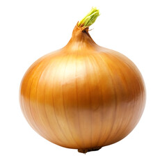 Fresh Yellow Onion Isolated on White Background