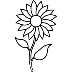 Elegant Single Line Sunflower with Tall Stem and Large Leaves