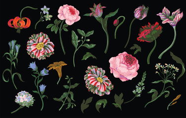 Big set oil painting rococo still-lifes flowers isolated. Vector.