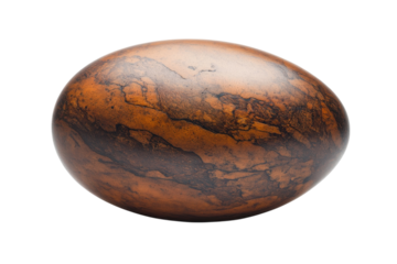 Intricate brown egg shaped stone unique marbled texture isolated on white background smooth surface