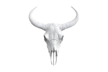Naklejka premium bull skul isolated on transparent background