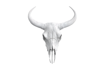 bull skul isolated on transparent background