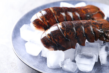 Naklejka premium Raw lobster tails with ice on grey table, closeup