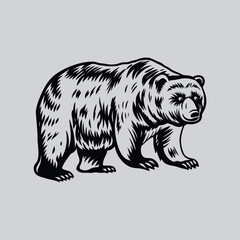 Bear Mascot Style Illustration