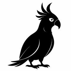 Obraz premium Modern Cockatoo Silhouette Logo
