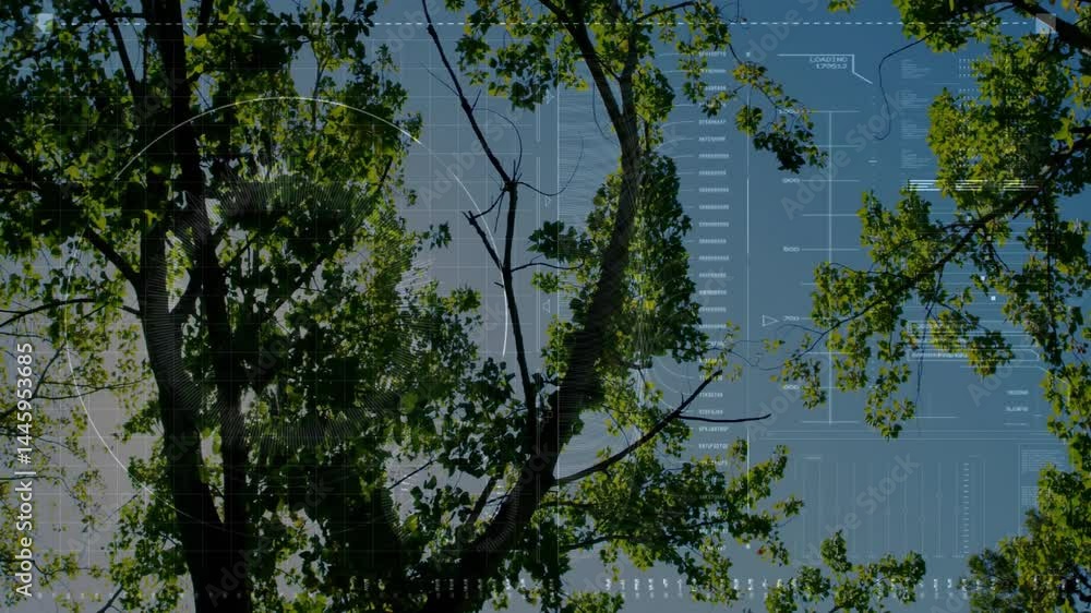 Poster viewer exploring sunlit tree canopy, with grids, circle charts, numeric scales for technology