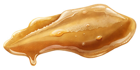 Golden Honey Drizzle Delicious Sweet Treat Natural Nectar Thick Gooey Flowing Texture Sweetness Viscous Liquid Amber