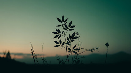 Serene sunset silhouette nature beauty tranquil evening peace