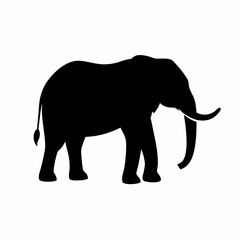 Fototapeta premium Silhouette of a black elephant with tusks and trunk raised